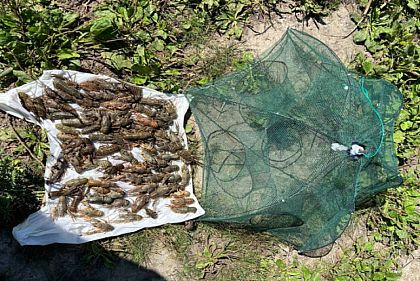 В Днепропетровской области браконьера поймали на ловле раков