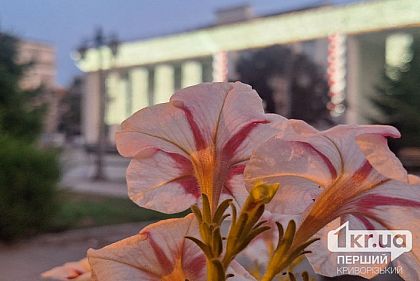 Какая будет погода в Кривом Роге 7 сентября