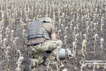 На Криворожье взрывотехники ликвидировали боевую часть вражеского беспилотника