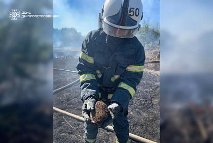 В Днепропетровской области спасатели спасли ежика во время тушения пожара