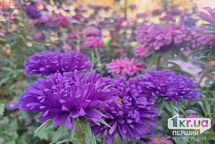 Какой будет погода в Кривом Роге 15 сентября