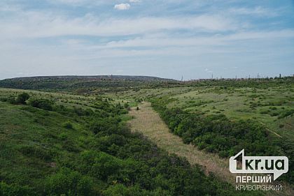 Прогноз погоды в Кривом Роге на неделю