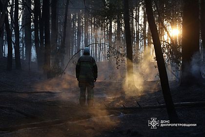 За неделю огонь уничтожил более 115 гектаров на Днепропетровщине