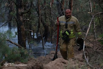За прошедшие сутки в экосистемах Днепропетровщины произошли десятки пожаров