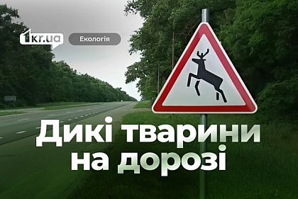 Дикие животные на дороге: жителей Днепропетровщины предостерегают от ДТП