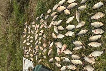 В Днепропетровской области браконьер наловил рыбы и раков: какая сумма ущерба