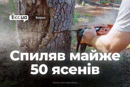 Суд вынес приговор жителю Криворожья, который незаконно спилил почти 50 ясеней