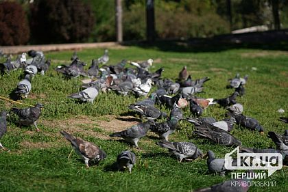 Прогноз погоды на последние выходные сентября