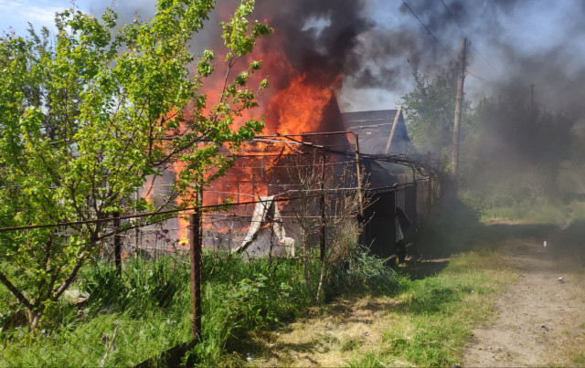 На Дніпропетровщині через ворожі атаки загинули 30 свійських тварин На Дніпропетровщині через ворожі атаки загинули 30 свійських тварин