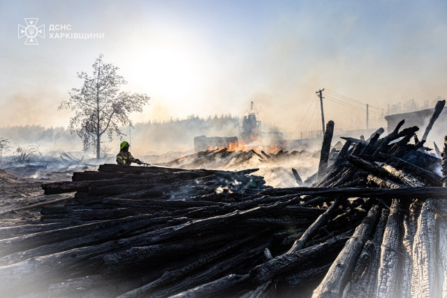 На Харківщині другу добу гасять лісову пожежу — детонують й залишені боєприпаси окупантів