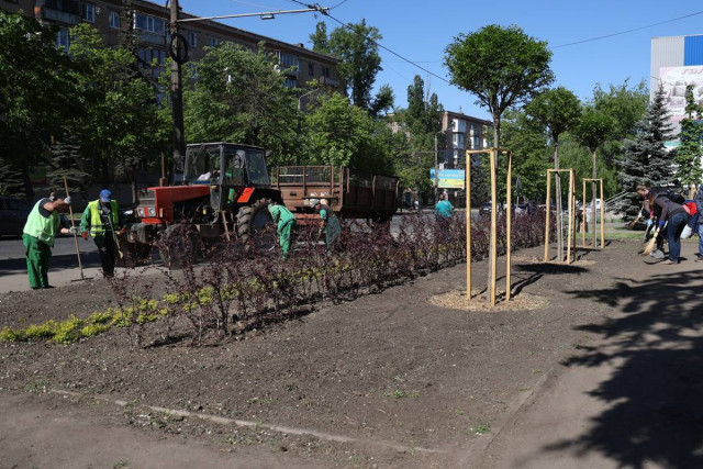 Сколько насаждений планируют высадить в Кривом Роге в этом году Сколько насаждений планируют высадить в Кривом Роге в этом году