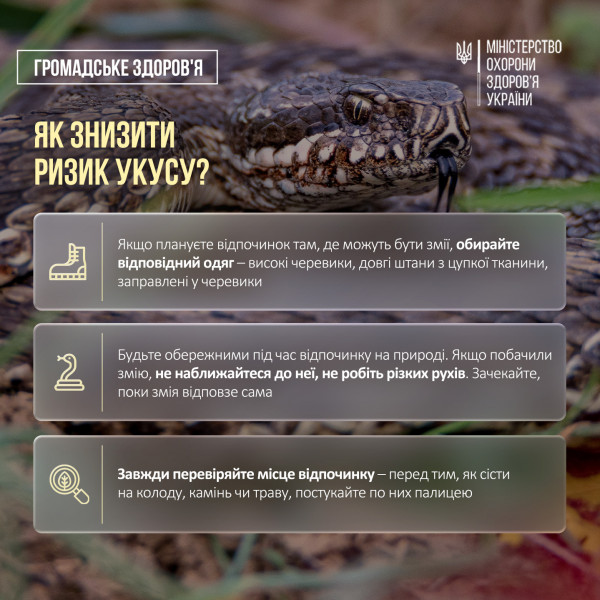 как снизить риск укуса змеи змея