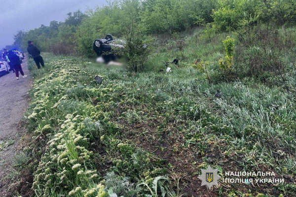 на трассе Днепро-Кривой Рог произошло смертельное ДТП ДТП Кривой Рог
