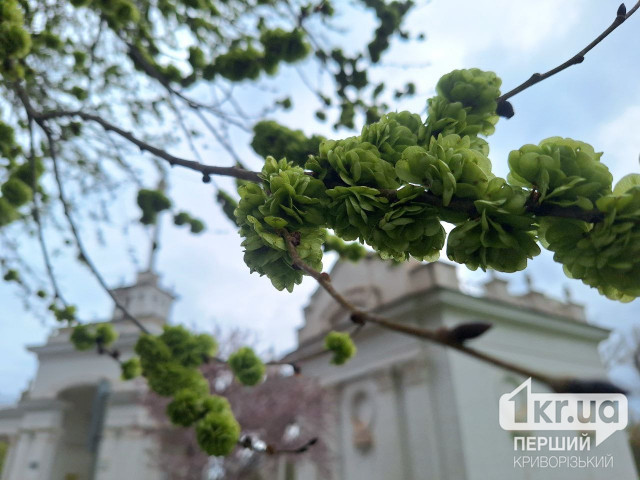 До +28°С и возможен дождь: погода в Кривом Роге 24 мая До +28°С и возможен дождь: погода в Кривом Роге 24 мая