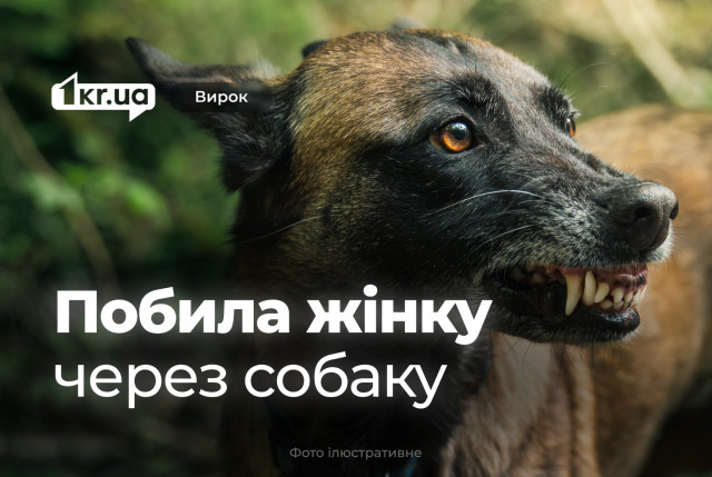 Криворожанка избила женщину из-за собаки и получила менее тысячи гривен штрафа Криворожанка избила женщину из-за собаки и получила менее тысячи гривен штрафа