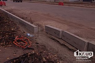 Багато ям та калюж: криворіжець створив петицію щодо ремонту вулиць Багато ям та калюж: криворіжець створив петицію щодо ремонту вулиць