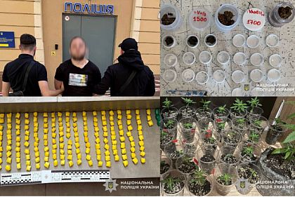 Во Львове задержали наркосбытчика из Кривого Рога с 200 «закладками» каннабиса