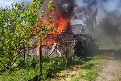 На Днепропетровщине из-за вражеских атак погибли 30 домашних животных