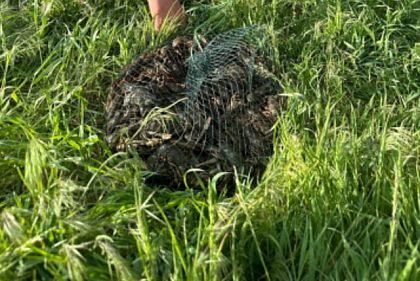 На Днепропетровщине браконьер наловил раков на 276 тысяч гривен