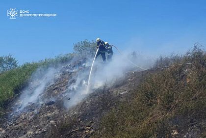 За сутки в экосистемах Днепропетровщины произошло 28 пожаров: горели сухая трава и мусор