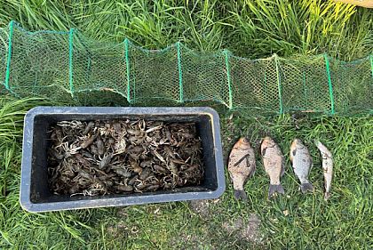 На Криворожье браконьер наловил рыбы и раков на почти 900 тысяч гривен убытков