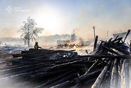 На Харьковщине вторые сутки тушат лесной пожар - детонируют и оставленные боеприпасы оккупантов