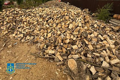 Криворожанина подозревают в организации нелегальной вырубки леса на почти 2 миллиона гривен