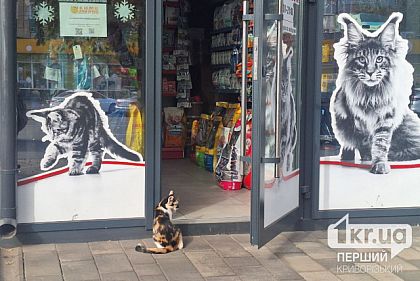 В Кривом Роге откроют зоомагазин благодаря программе «Грант для ветеранов и их супругов»