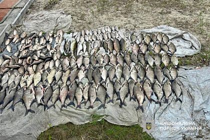 На Днепропетровщине поймали браконьера со 160 килограммами рыбы