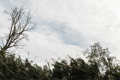 Криворожан предупреждают о сильных порывах ветра 15 мая