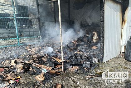 На Криворіжжі у прибудові магазину згоріли овочі