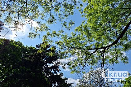 Дождь и переменная облачность: погода в Кривом Роге на неделю