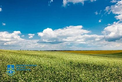 Громадам Днепропетровщины вернули более 18 тысяч гектаров сельхозземель