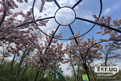 До +24°С: погода у Кривому Розі 22 травня