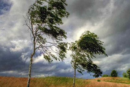26 мая в Кривом Роге ожидаются сильные порывы ветра