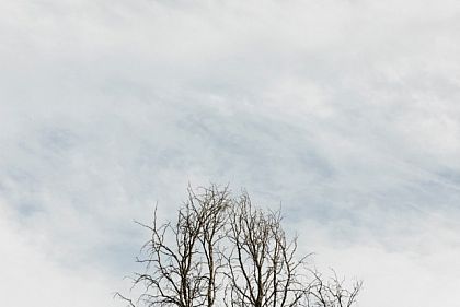 Криворіжців попереджають про сильні пориви вітру 27 травня