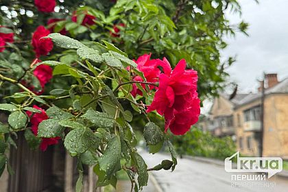 Облачно с дождем: погода в Кривом Роге 28 мая