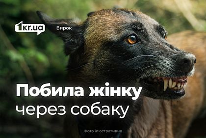 Криворожанка избила женщину из-за собаки и получила менее тысячи гривен штрафа