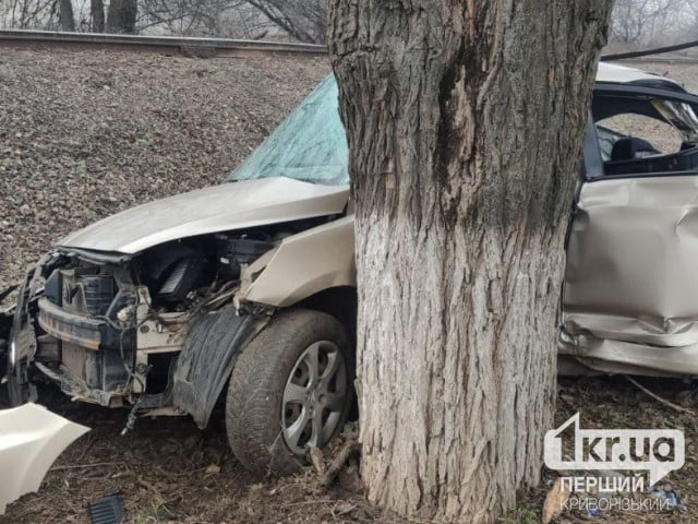 В Кривом Роге автомобиль на скорости въехал в дерево: что с водителем и пассажиром