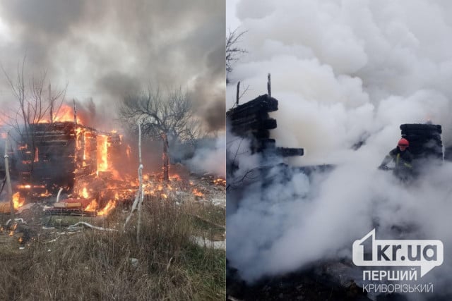 Спасатели Кривого Рога потушили пожар в дачном доме