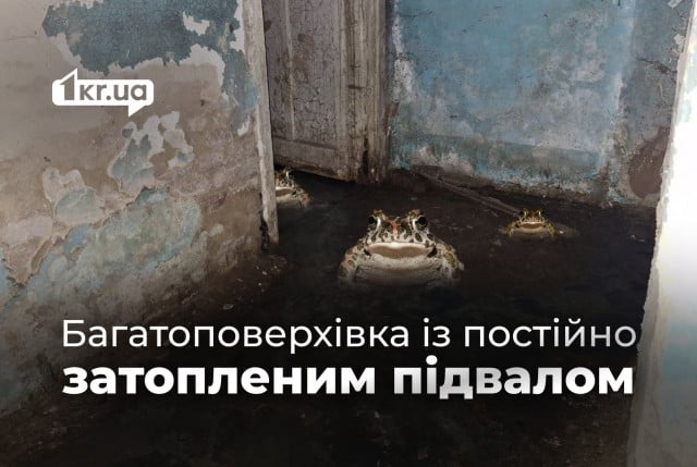 «Там влітку навіть жаби квакали»: криворіжці скаржаться на постійно затоплений підвал будинку