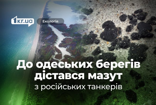 Экосистемы Черного моря под ударом: мазут из Керченского пролива дошел до Одесской области