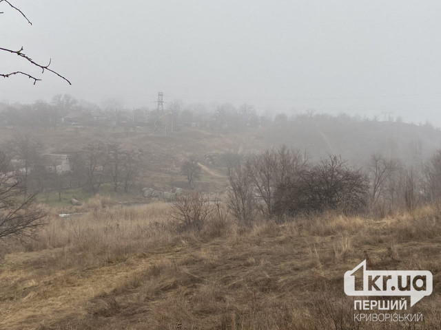 В Кривом Роге 8 день подряд сообщают о повышении загрязнения воздуха