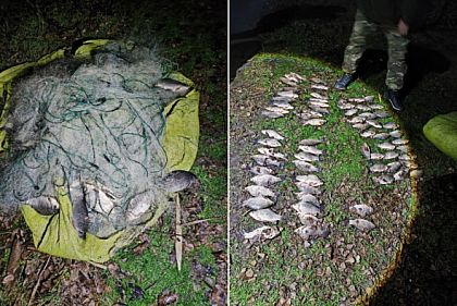 Рыбпатруль Днепропетровщины разоблачил нарушения на 185 тысяч гривен убытков