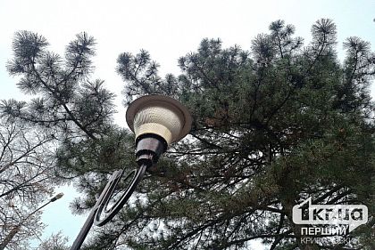 Возможен небольшой дождь и мокрый снег: погода в Кривом Роге 17 января
