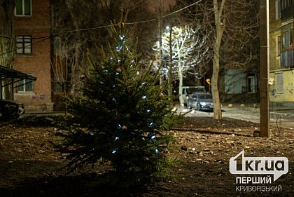 Куда криворожанам выбрасывать елки