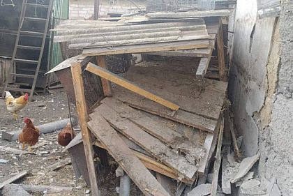 Из-за обстрелов Никопольского района погибли 30 домашних птиц