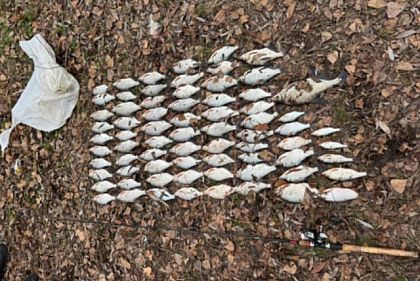 На Днепровском водохранилище рыбак нанес ущерб на более 112 тысяч гривен