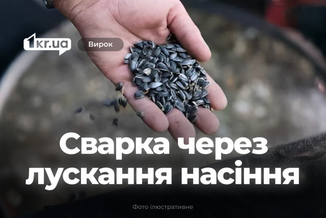 В Кривом Роге конфликт из-за лусканья семечек завершился судебным приговором