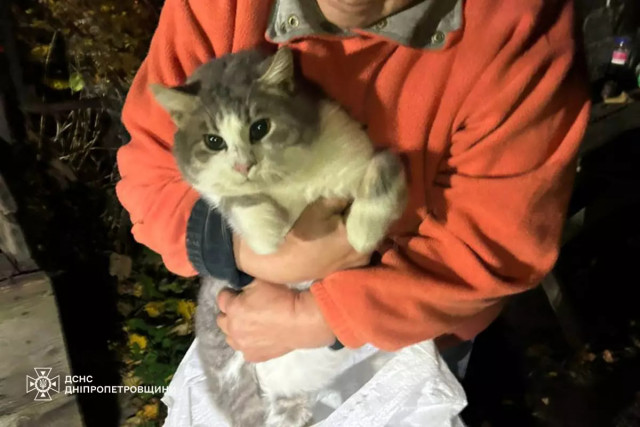 В Днепропетровской области спасатели освободили кота из девятиметрового колодца